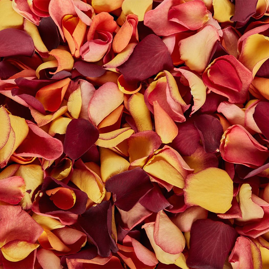 Planning for an Autumn wedding