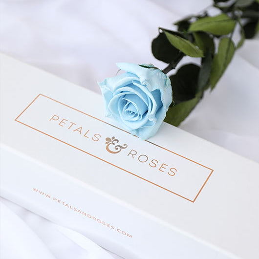Real Baby Blue Preserved Roses