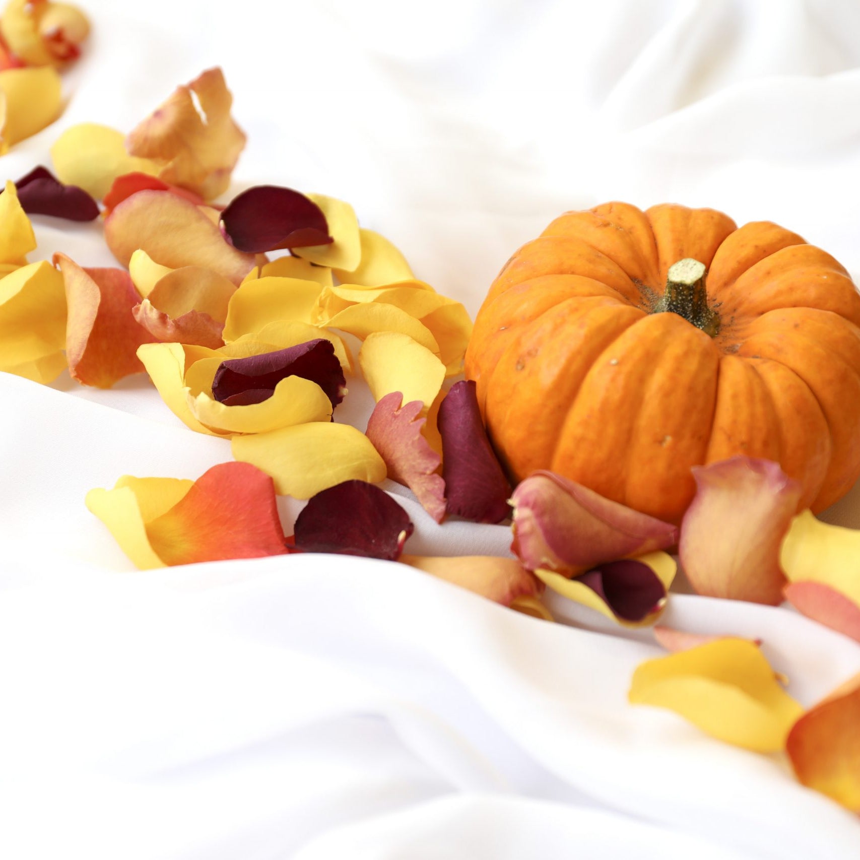 Vibrant Autumnal Inspiration for your Special Day