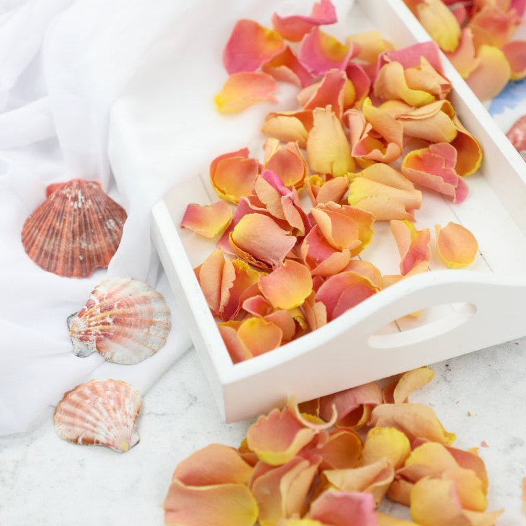New Confetti Petals to Fall in Love With: Coral Sands & Peach Sorbet