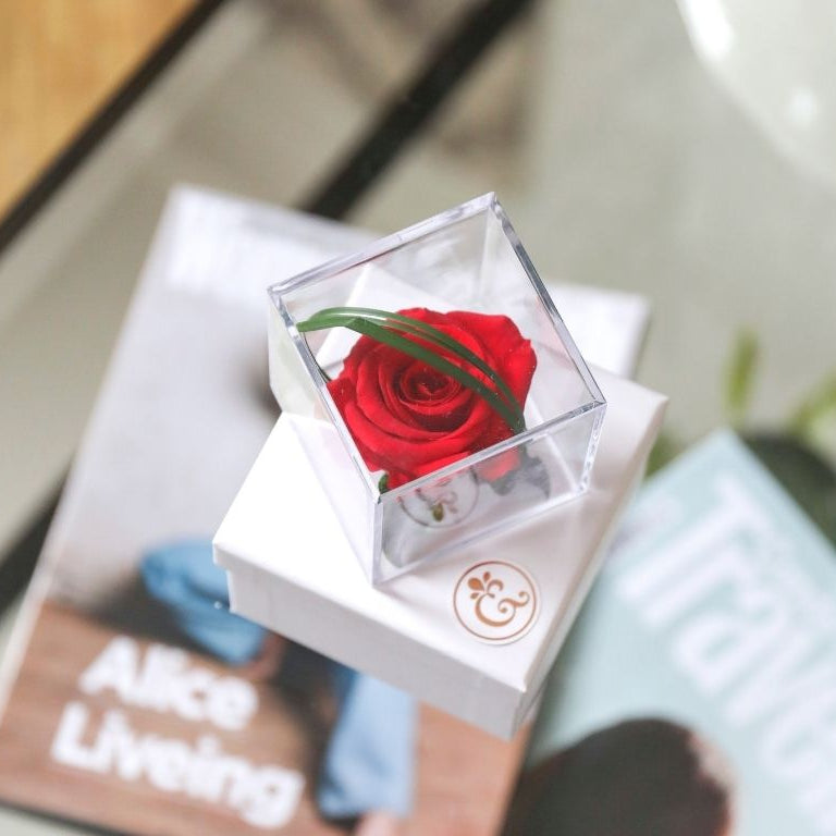 Unique Valentine's Gift Ideas for 2026