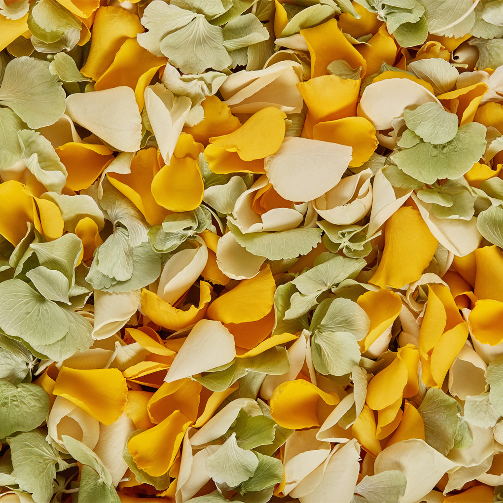 Add a touch of colour with our new Springtime mix