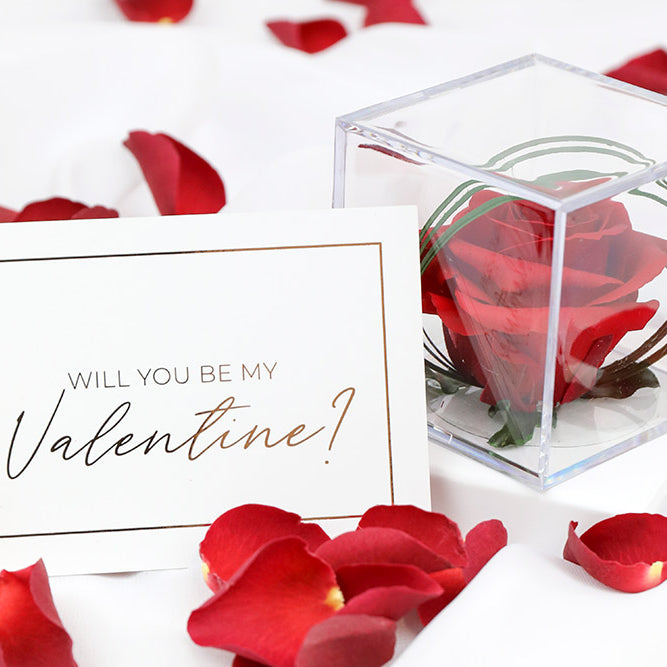 Preserved Rose Gifts for Valentine's Day