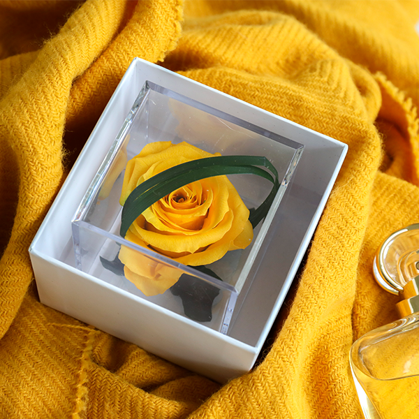 Preserved Roses are more eco-friendly than fresh Roses