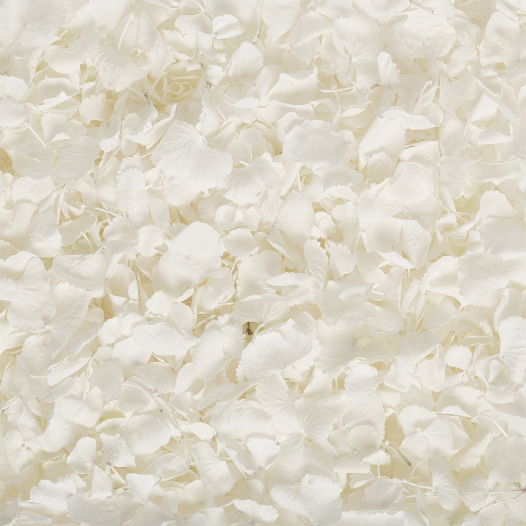 Have the unique wedding of your dreams starting with your bespoke confetti petals