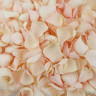 Palest Pink petals