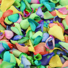 Rainbow coloured petals bright colourful