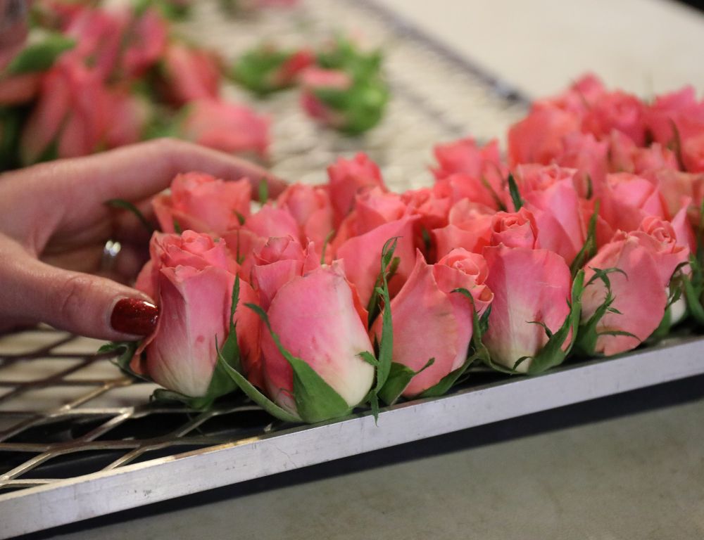 Why Freeze Dried Petal Confetti is the Best Choice for Your Wedding