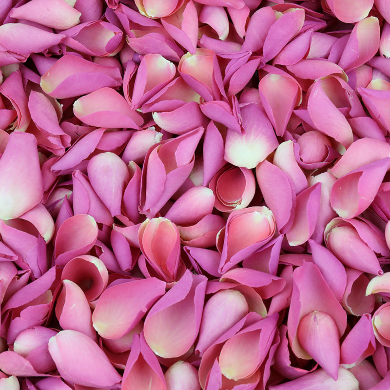 How to use Rose Petals in your DIY projects.