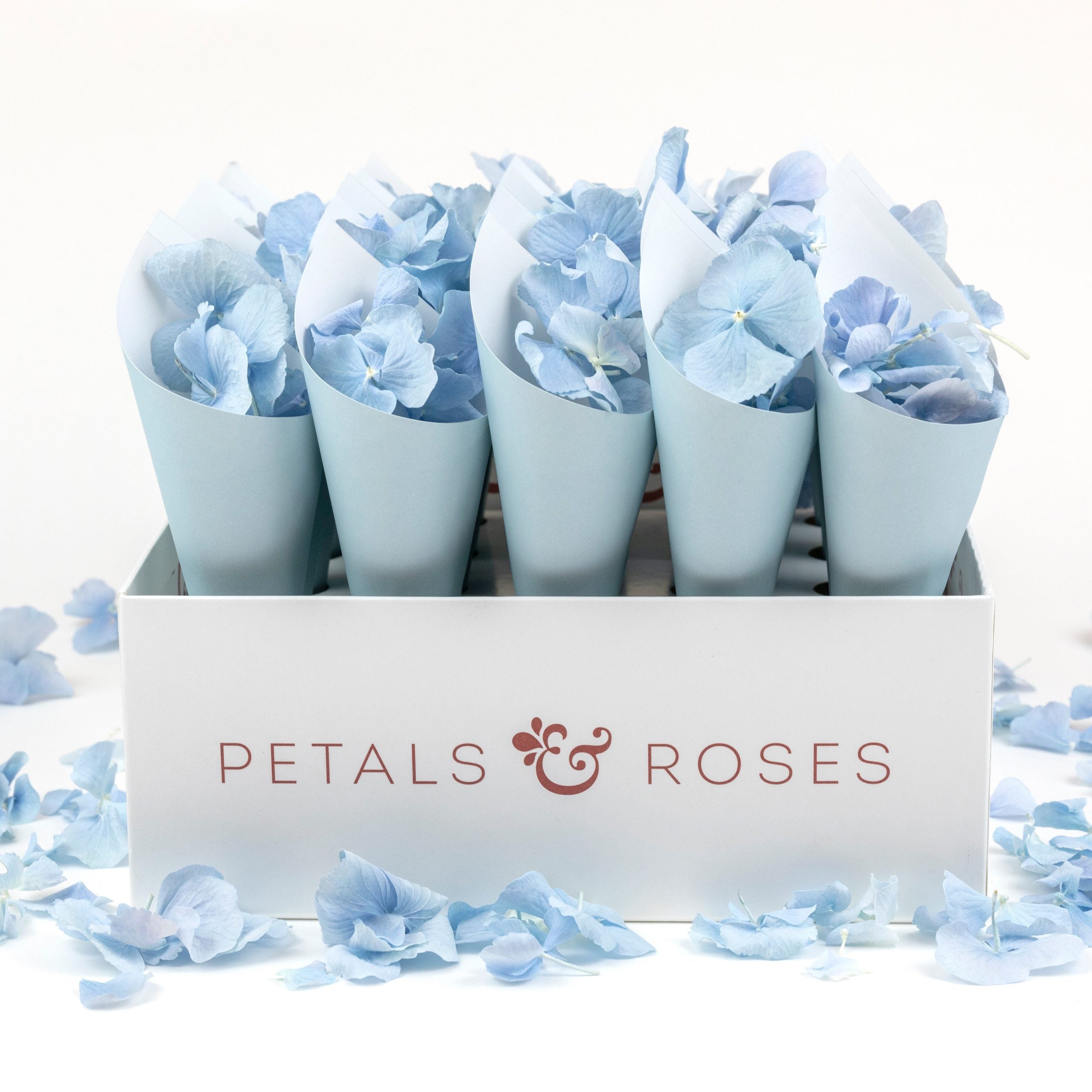 Confetti Cone Box with Blue Confetti Cones and Sky Blue Hydrangea Petals