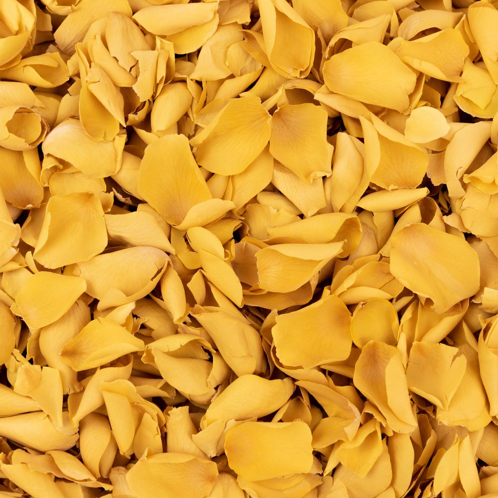 Yellow Freeze Dried Rose Petals