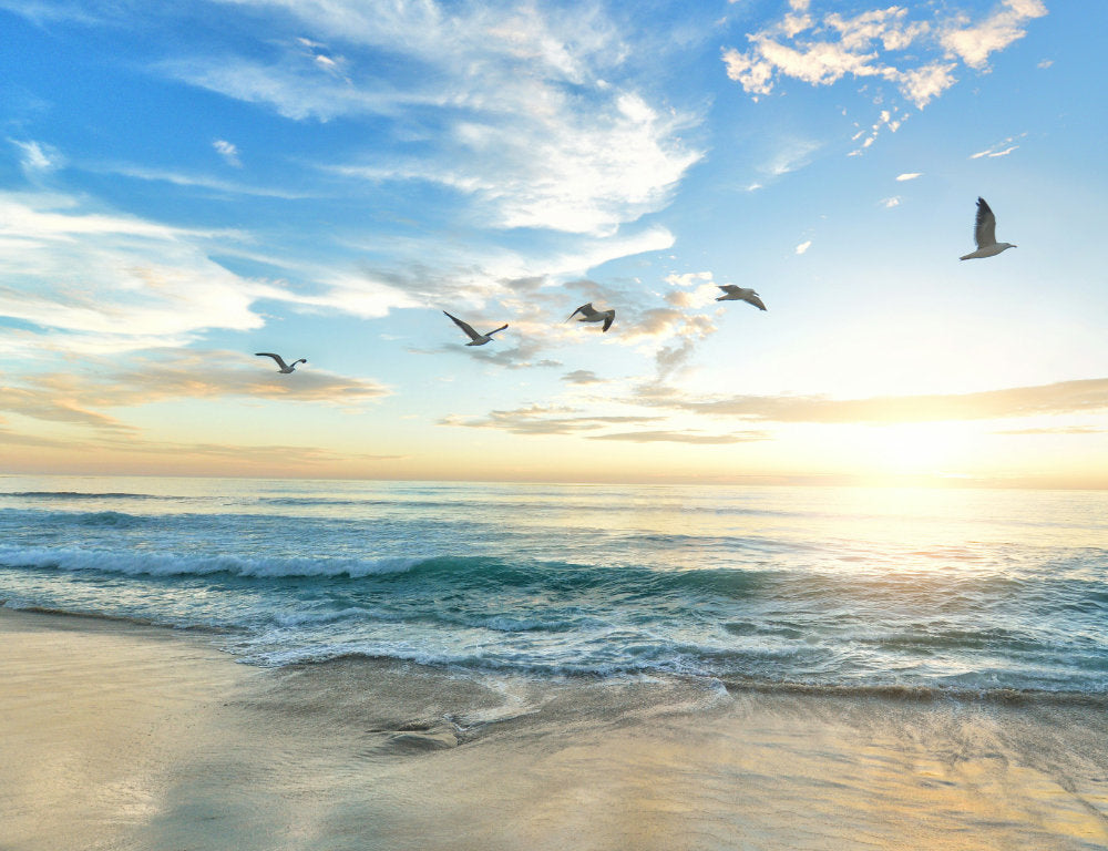 Saying Goodbye with Memorial Scatter Petals: A Gentle, Meaningful Farewell