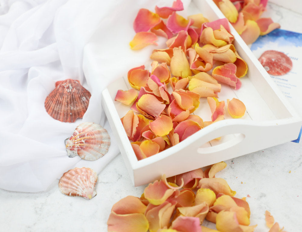New Confetti Petals to Fall in Love With: Coral Sands & Peach Sorbet