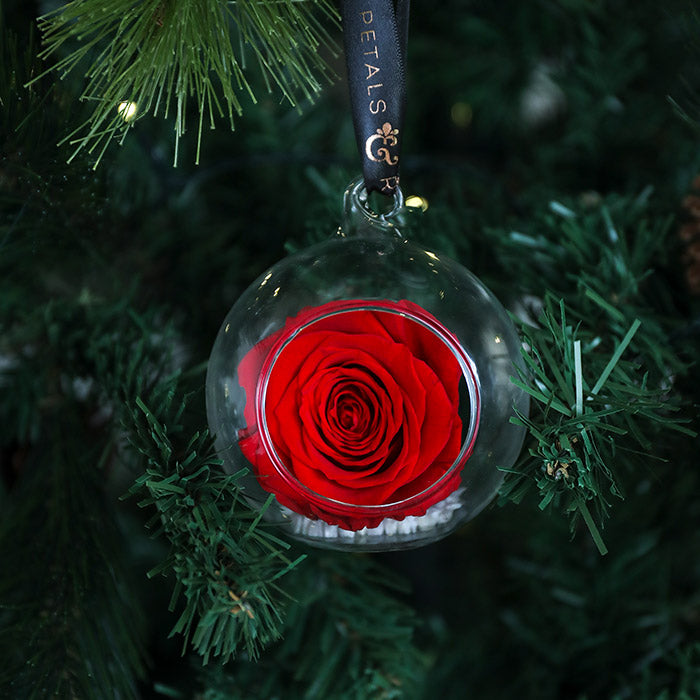 Petals and Roses Red Preserved Hanging Rose