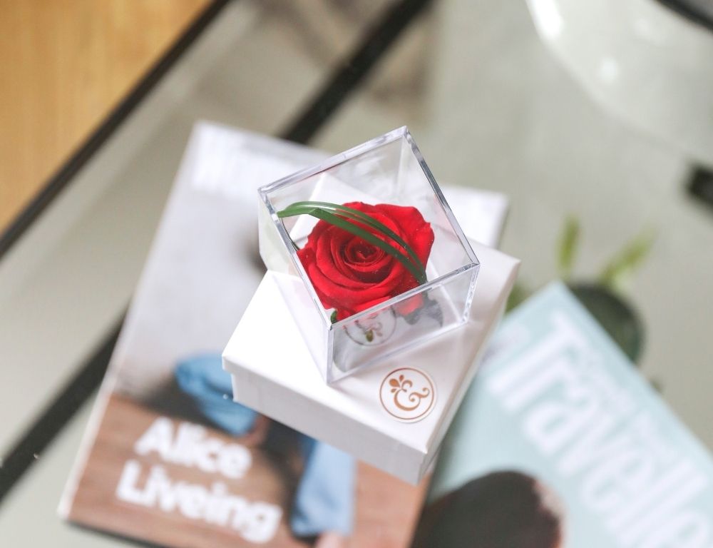 Unique Valentine's Gift Ideas for 2026