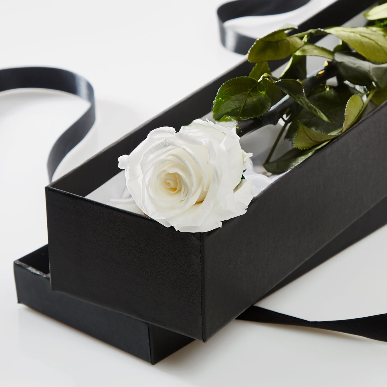 Preserved roses: the perfect gift for Mother’s Day