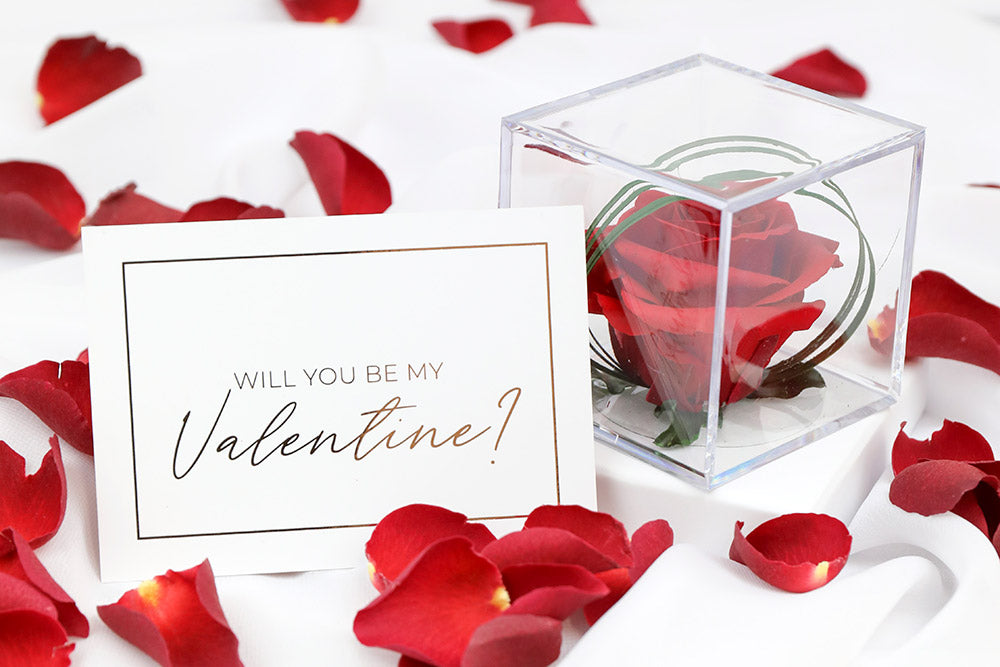 Preserved Rose Gifts for Valentine's Day