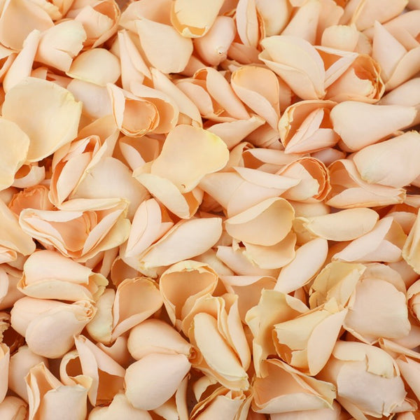 Peach Sorbet ~
