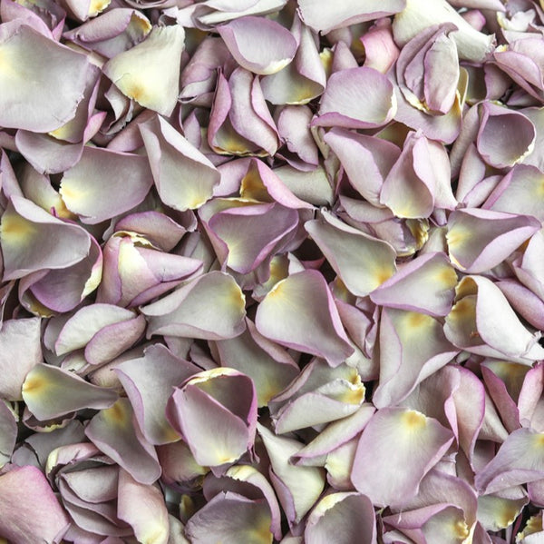 Antique Rose Petals ~