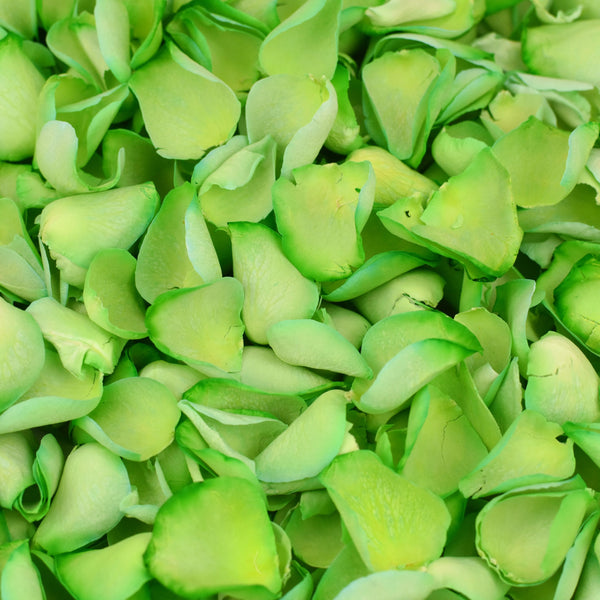 Apple Green Rose Petals ~