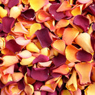 Autumn freeze dried Rose Petal Mix from Petals & Roses