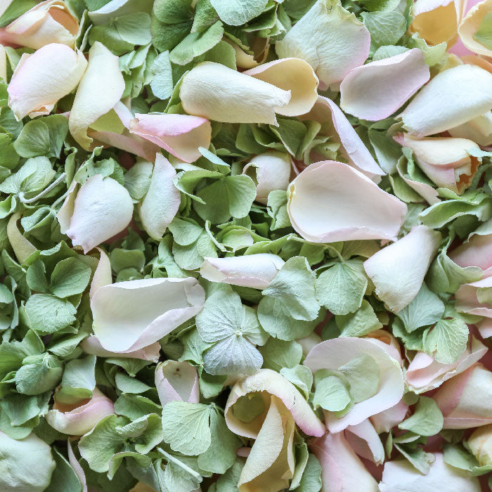 Botanical Garden Mix of Sage Green Hydrangea Petals and Pink Rose Petals