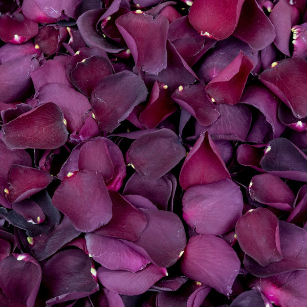 Burgundy Rose Petals ~