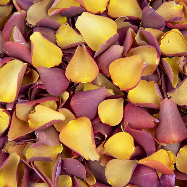 Caramel Gold Rose Petals ~