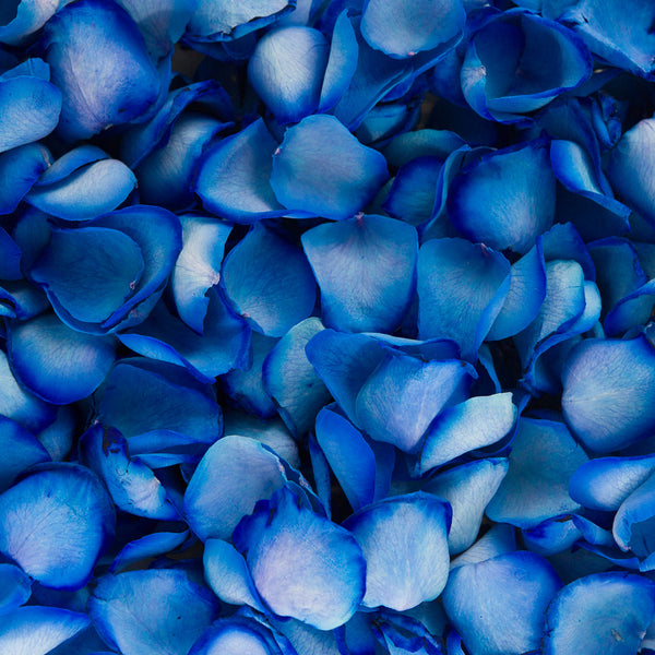 Chelsea Blue Rose Petals ~