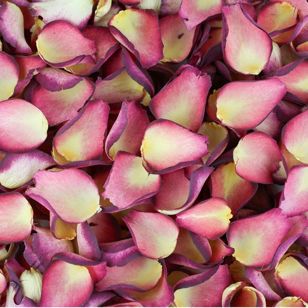 Damson Velvet Rose Petals ~