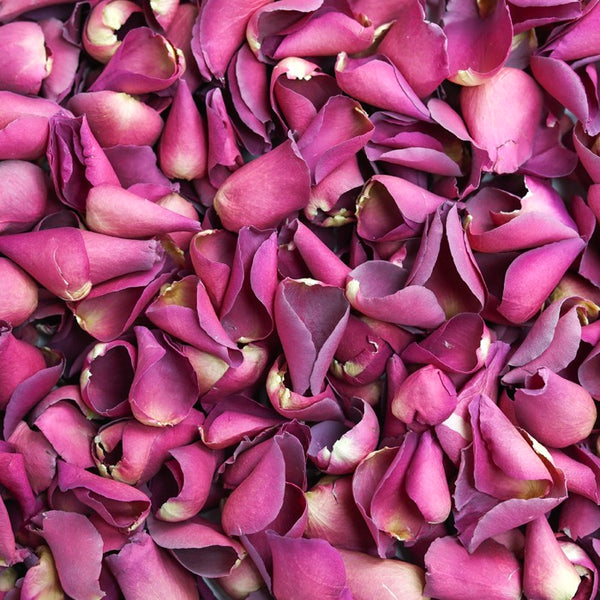 Fuchsia Rose Petals ~