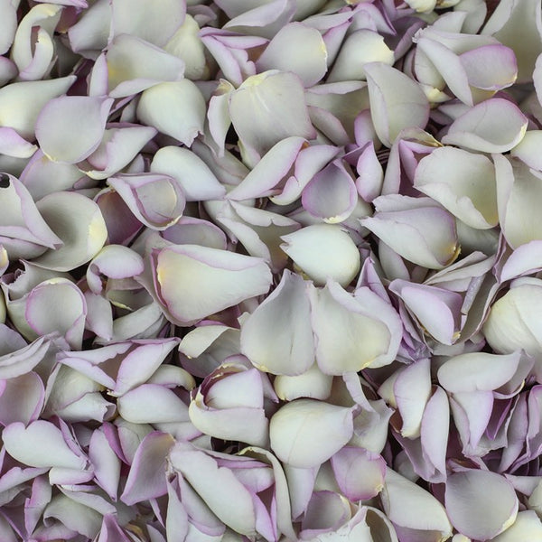 Mother of Pearl Rose Petals ~