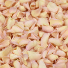 Palest Pink petals