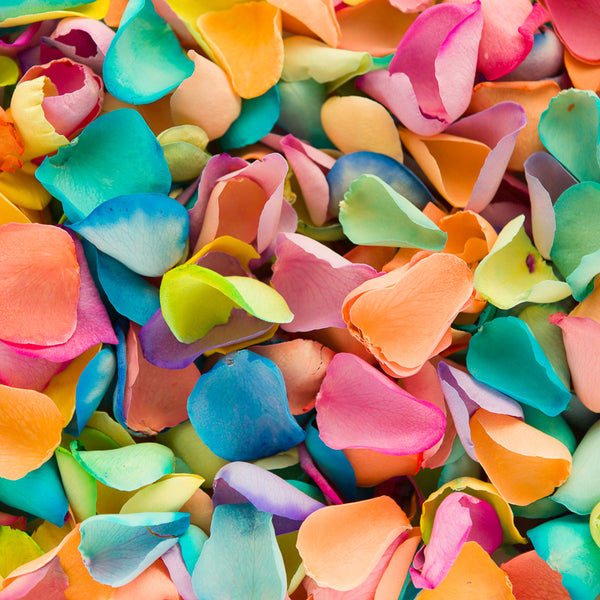 Rainbow Rose Petals ~