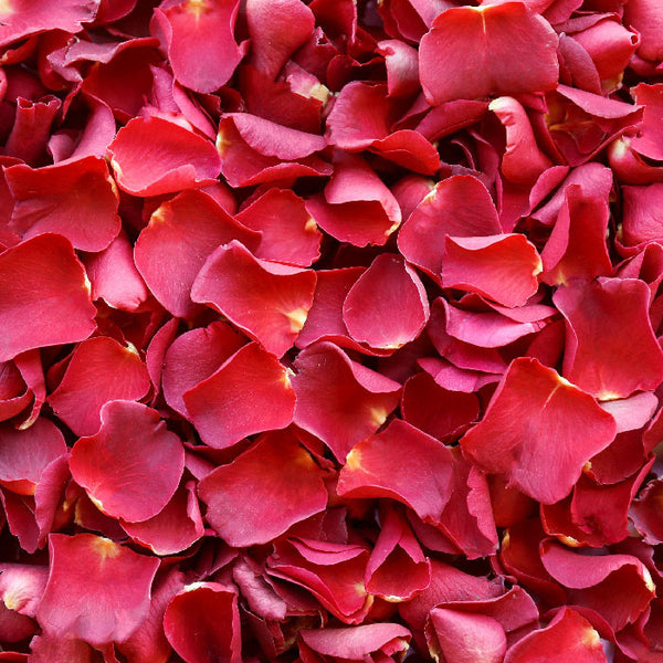 Romantic Red Rose Petals ~