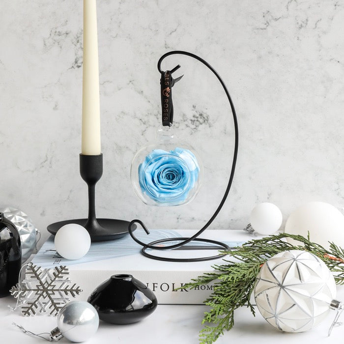 Baby Blue Hanging Preserved Rose with Stand – Petals and Roses
