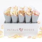 Confetti Cone Box with Grey Confetti Cones and Palest Pink Rose Petals