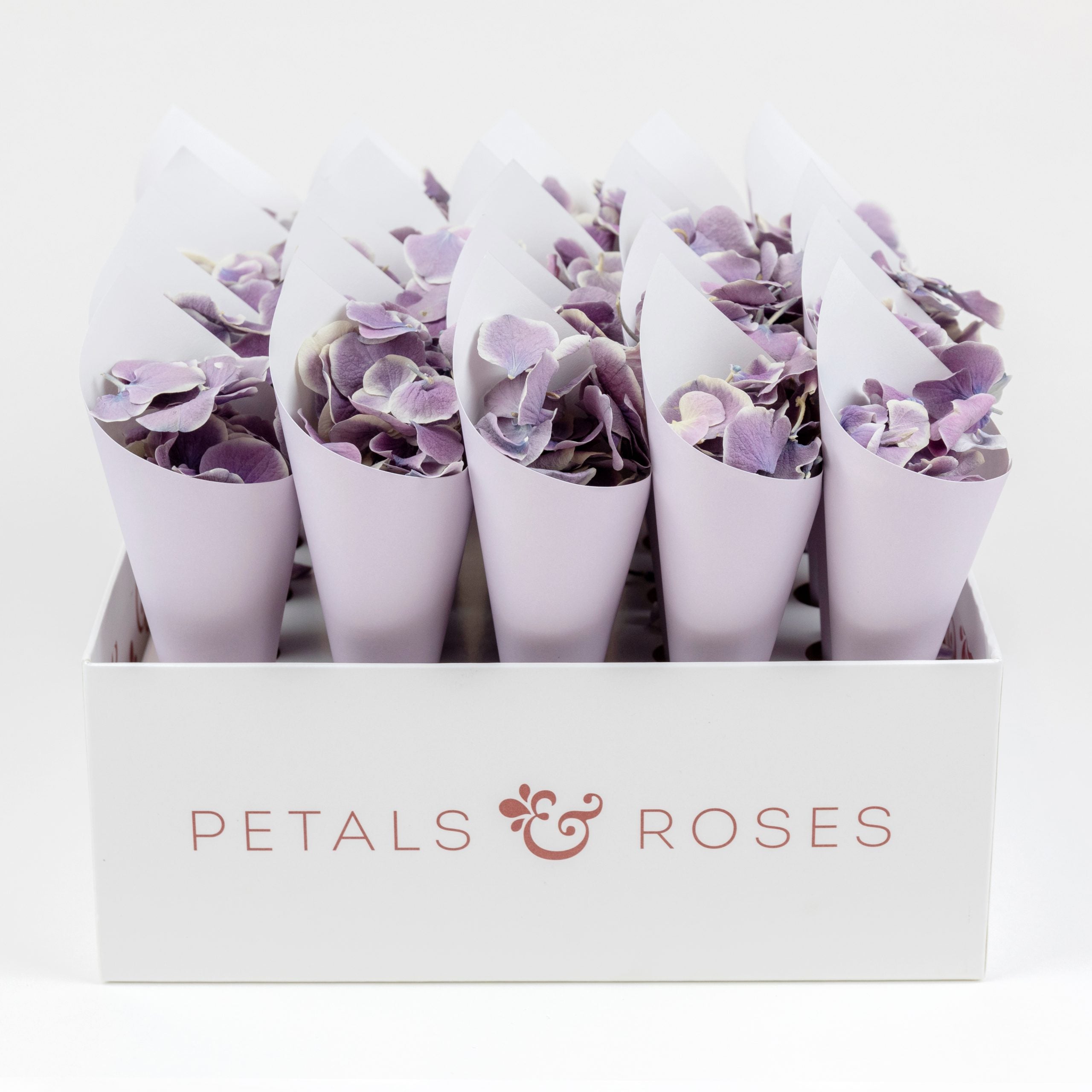 Confetti Cone Box with Lilac Confetti Cones and Violet White Hydrangea Petals