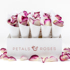 Confetti Cone Box with White Cones and Damson Velvet Rose Petals and Confetti Cones