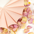 Cone Package with Pink cones and Candy Floss Petals