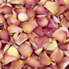 Flame Red freeze dried rose petals