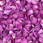 Fuchsia Freeze Dried Rose Petals