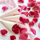 Fuchsia Dried Rose Petals with Pink confetti Cones for weddings by Petals & Roses