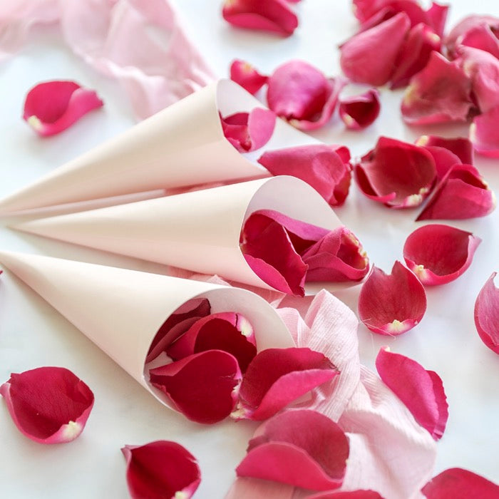 Fuchsia Dried Rose Petals with Pink confetti Cones for weddings by Petals & Roses