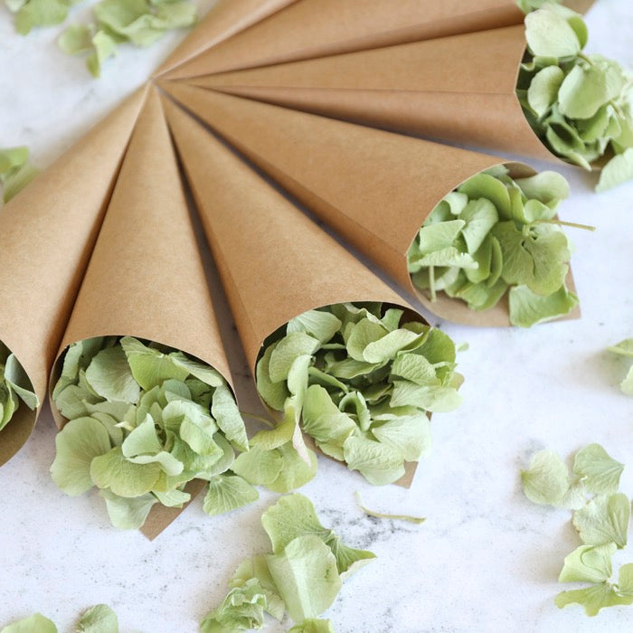 Green Dried Hydrangeas Petals with Kraft confetti Cones for weddings by Petals & Roses