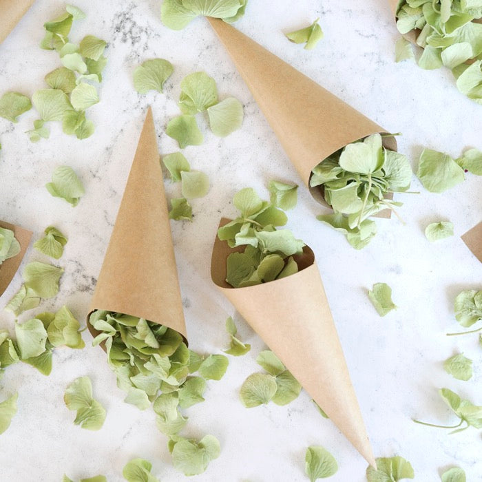 Green Dried Hydrangeas Petals with Kraft confetti Cones for weddings by Petals & Roses