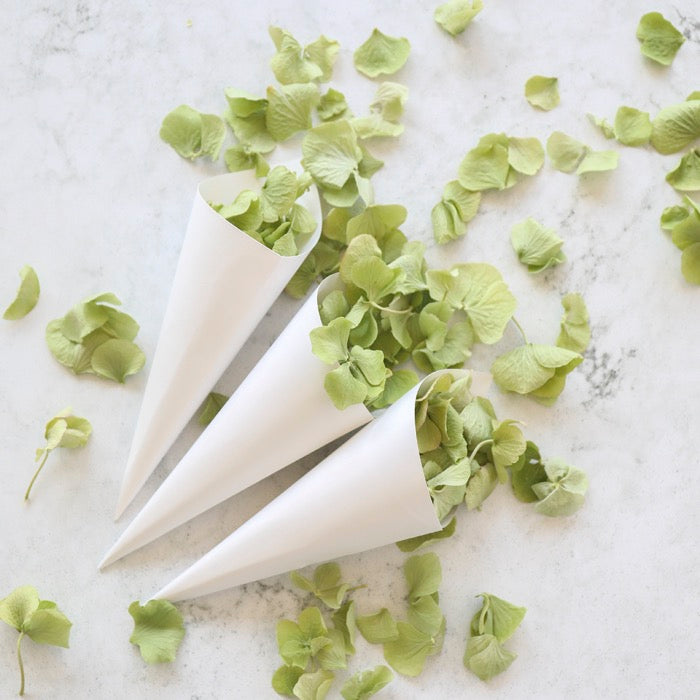 Green Dried Hydrangeas Petals with White confetti Cones for weddings by Petals & Roses