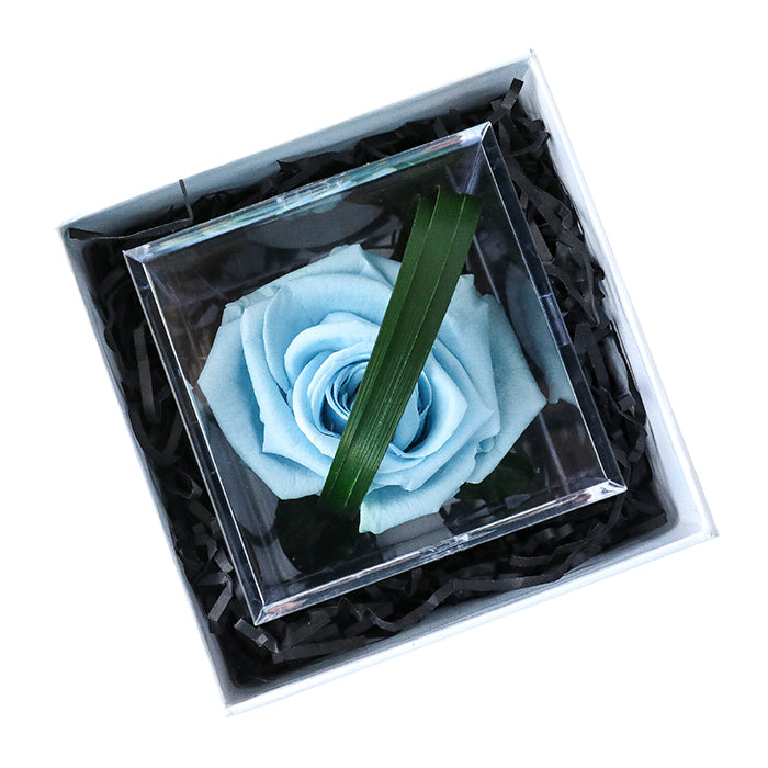 Baby Blue Rose Cube in Gift Box