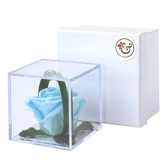 Baby Blue Rose Cube with Gift Box