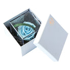 Baby Blue Rose Cube with Gift Box